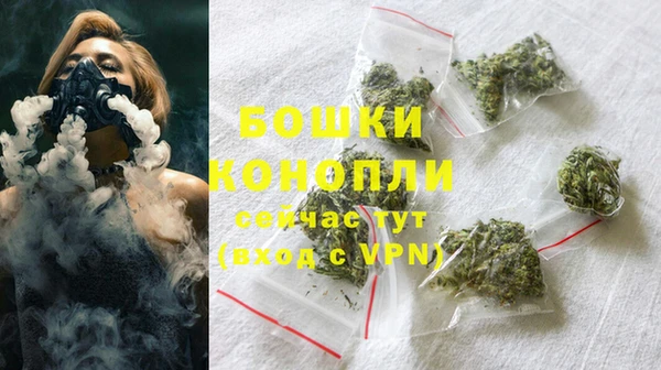 ECSTASY Тайга