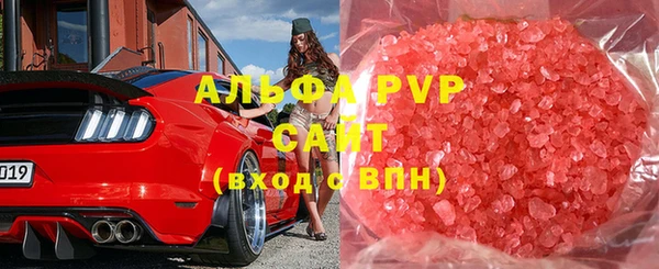 ECSTASY Тайга