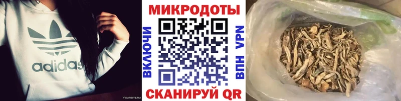 Галлюциногенные грибы прущие грибы Высоковск